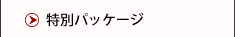 特別パッケージ